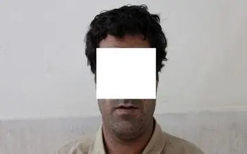 سارق سابقه دار پایتخت در خیابان ولیعصر غافلگیر شد ! + جزییات