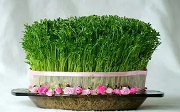 پرداختن به سنت های دیرینه با صرف کمترین هزینه + فیلم