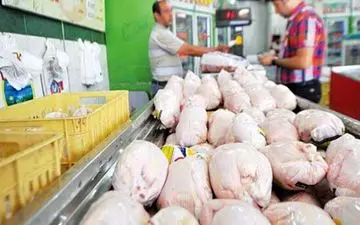 منتظر فراوانی مرغ در بازار باشید