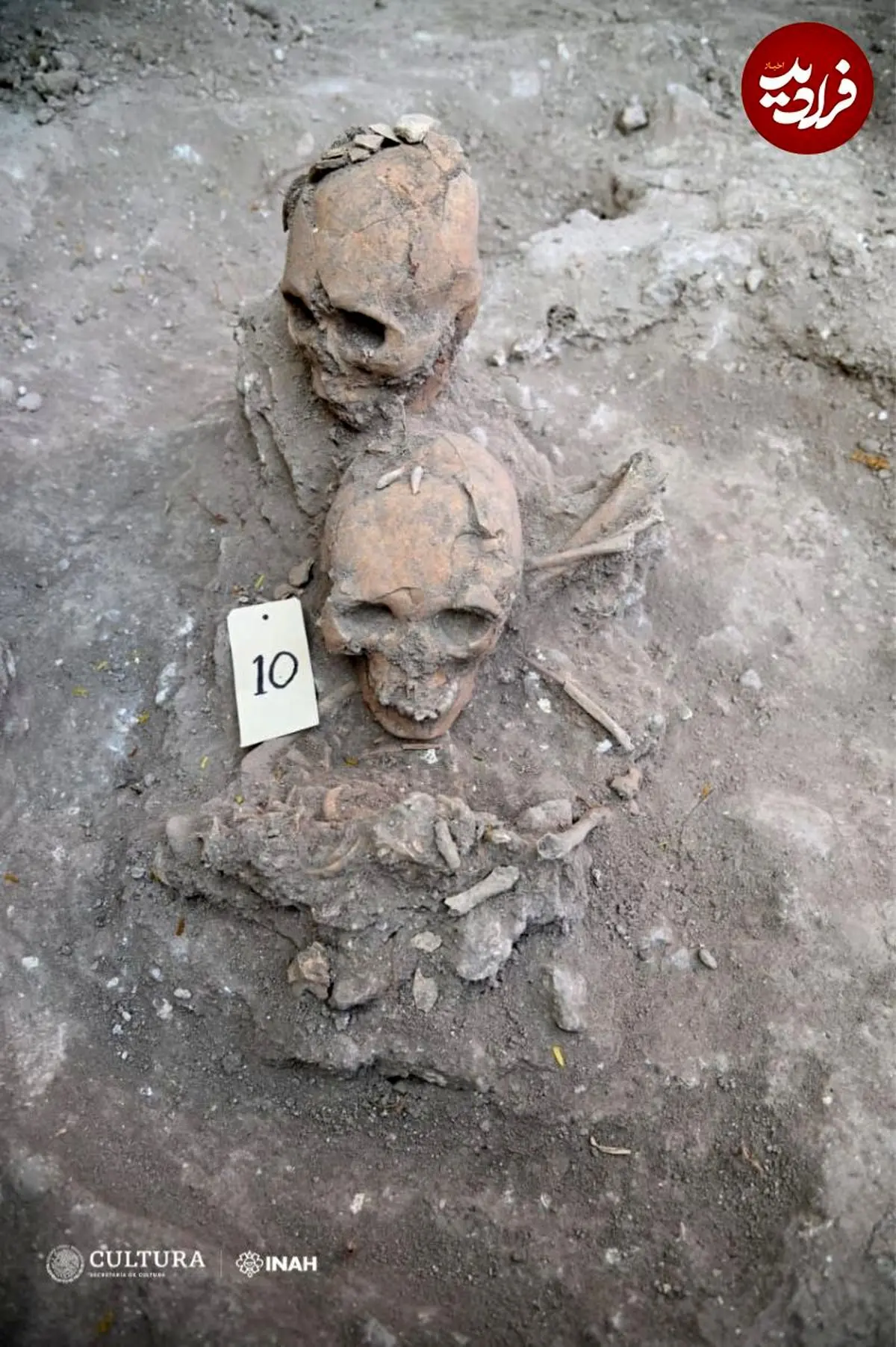 کشف سرهای بریده ۹۰۰ ساله در معبد مایاها+عکس