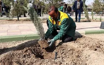 کشت گونه‌های کم‌آب‌بر در استان همدان مورد توجه قرار گیرد