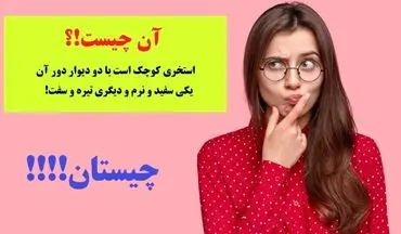 چیستان | استخری کوچک است با دو دیوار دور آن، یکی سفید و نرم و دیگری تیره و سفت!