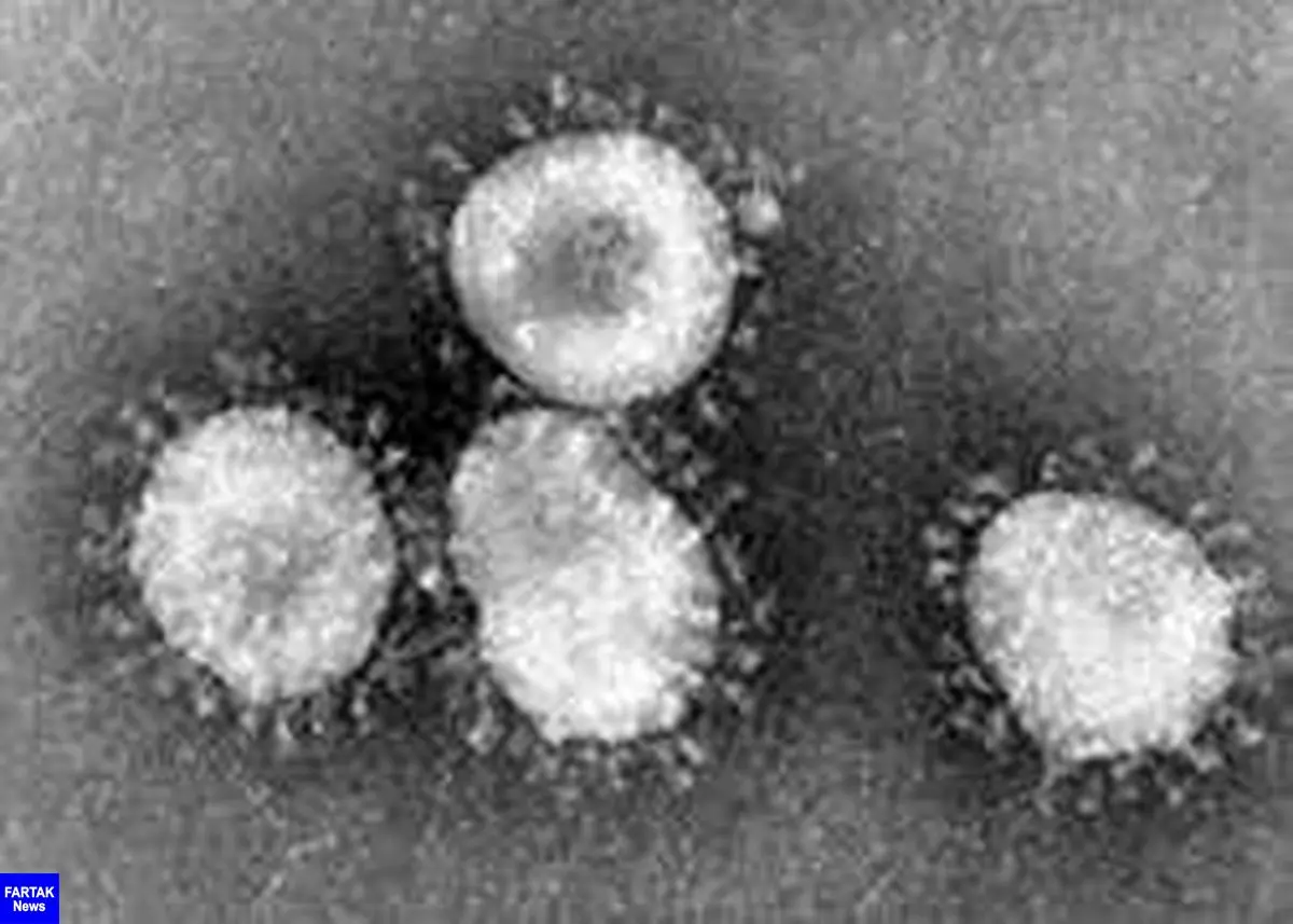  ژاپن اولین مورد ابتلا به ویروس جدید کرونا را تایید کرد 