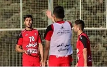  علیپور: از اسطوره پرسپولیس معذرت می‌خواهیم