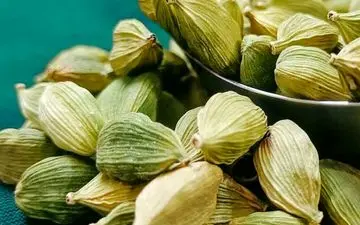 جویدن دانه هل اشکالی ندارد؟