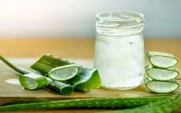 خواص و مضرات این گیاه دارویی