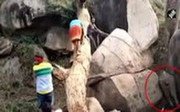 حمله فیل مادر به ساکنان محلی هنگام نجات بچه فیل