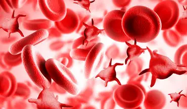  پلاکت های خون را با ۷ گام سالم افزایش دهید