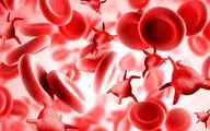  پلاکت های خون را با ۷ گام سالم افزایش دهید