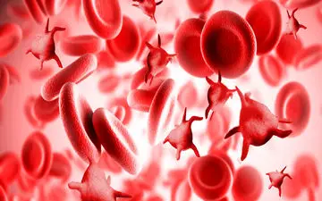  پلاکت های خون را با ۷ گام سالم افزایش دهید