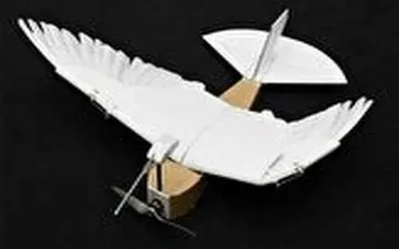 پهپادی که به شکل پرنده است! 