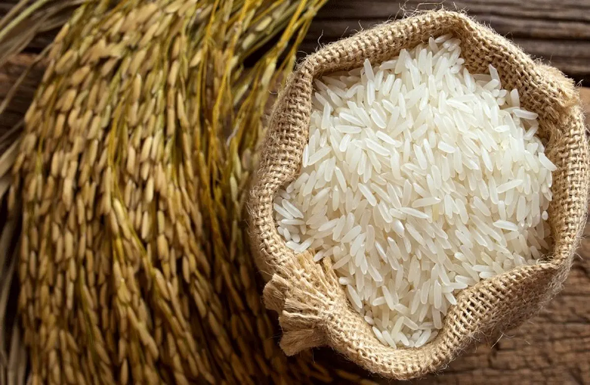 برنج کدام کشورها بیشترین آلودگی را دارد؟