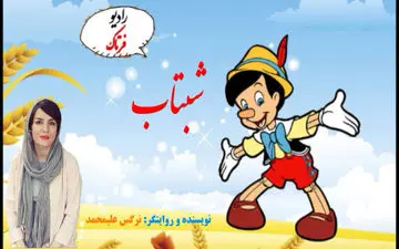 آدم چوبی و رمز و رازهای دستیابی به موفقیت 