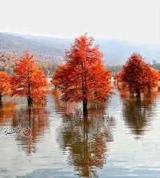 گزارش تصویری از جاده رویایی و دریاچه الندان در فصل پاییز مازندران