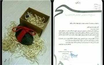 اهدای سنگ‌پا به یک نماینده مجلس