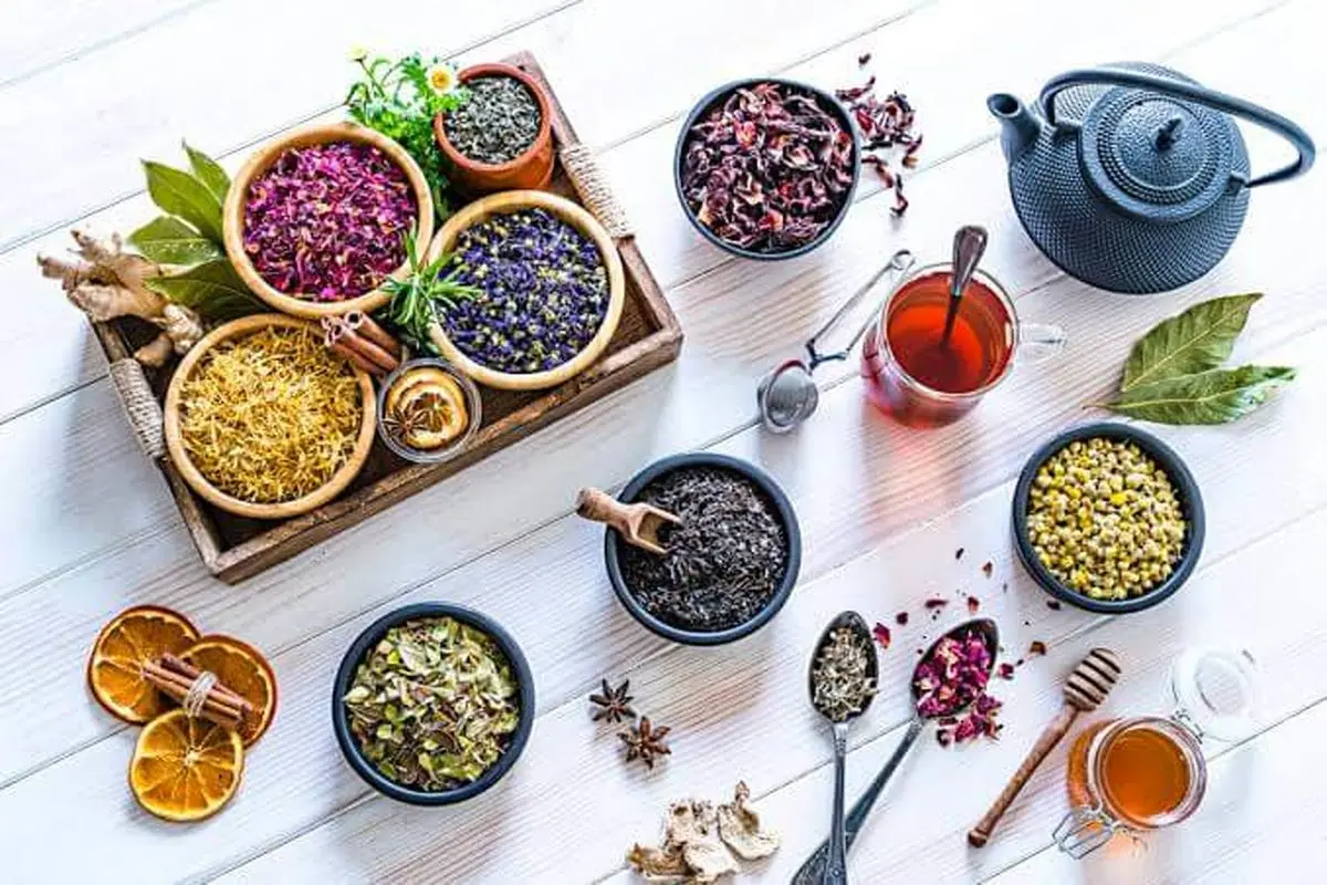 با این گیاهان روز های سرد پاییز را سر کنید