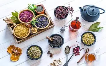 با این گیاهان روز های سرد پاییز را سر کنید