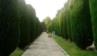  پارک ساعی تهران | ریه تنفسی پایتخت در ولیعصر