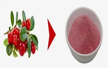 خداحافظی با لاغری صورت با این ماسک‌های گیاهی