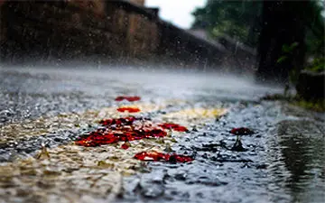 وحشتناک‌ترین حادثه رانندگی در هوای بارانی + فیلم