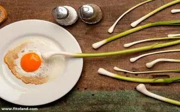 غذاهایی برای باروری بهتر و افزایش شانس بارداری