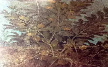 میوه اشرافی رومیان باستان + عکس