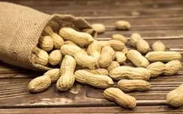 درمان آلرژی بادام زمینی !