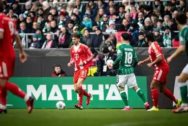 IMG_20260215_023334_172