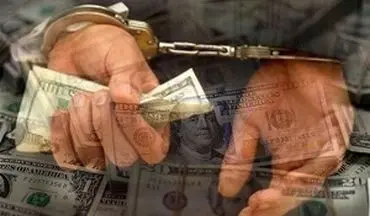 جریمه ۳ و نیم میلیاردی قاچاقچی ارز در فرودگاه امام(ره)