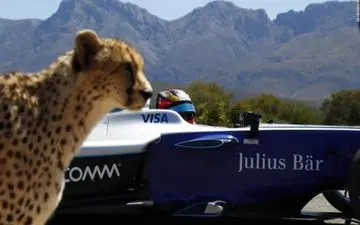 مسابقه دیدنی بین خودرو فرمول E و چیتا! + فیلم