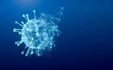 شنبه 29 مرداد/ تازه ترین آمار کرونا در جهان