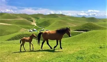 بهترین مکان‌های دیدنی ایران در فصل بهار که از دست دادنشان حیف است