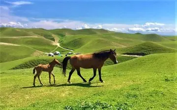 بهترین مکان‌های دیدنی ایران در فصل بهار که از دست دادنشان حیف است