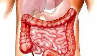 بهترین گیاه دارویی برای سلامت روده