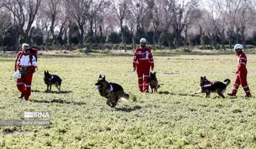 جزئیات مفقودی ۱۲ گردشگر در جنگل‌های مازندران/ عملیات امداد و نجات ادامه دارد