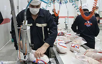 قیمت مرغ در بازار در سقف 20 هزار و 400 تومان آرام گرفت