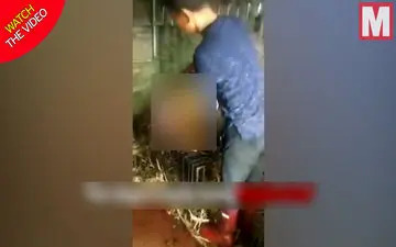 فستیوال سالیانه خونین سگ کشی در چین!