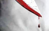 دومین جلسه دادگاه قاتل سریالی مردان مازندرانی؛ دفاعیات تکان‌دهنده متهم