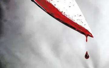 دومین جلسه دادگاه قاتل سریالی مردان مازندرانی؛ دفاعیات تکان‌دهنده متهم