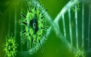 ۳ رقمی شدن آمار مبتلایان روزانه به کرونا در آذربایجان‌شرقی/ افزایش مبتلایان در روزهای آینده