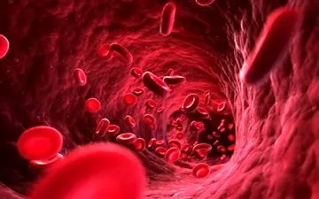 کلسترول خون بالا دارید/ نگران نباشید با این موارد کنترل کنید