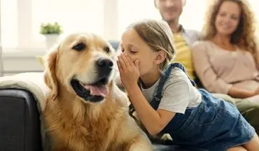  رازگشایی از درک زبان انسان توسط سگ‌ها: آیا سگ‌ها زبان ما را می‌فهمند؟