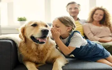  رازگشایی از درک زبان انسان توسط سگ‌ها: آیا سگ‌ها زبان ما را می‌فهمند؟