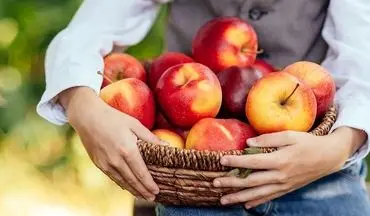 سیب: راز مقابله با ضعف و سستی ناشی از افزایش سن!