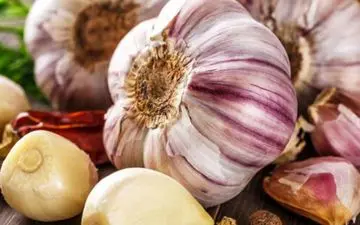 سم زدایی بدن با این گیاه پرخاصیت

