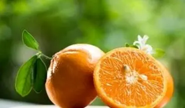 آشنایی با خواص بی نظیر آب نارنج