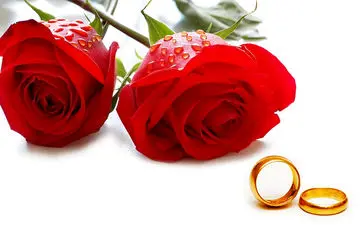 مهریه شگفت‌انگیز عروس میهمانان جشن را شوکه کرد 