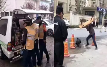 رفتار وحشیانه ماموران چین با یک حیوان! +فیلم 