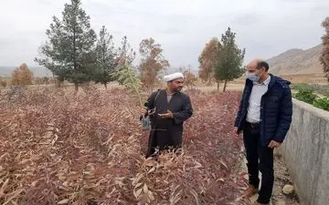 بازدید امام جمعه چرداول از پارک جنگلی و نهالستان منابع طبیعی
