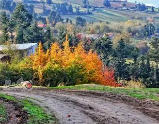 گزارش تصویری | گیلان؛ مقصدی رویایی برای عاشقان پاییز